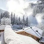 Chalet Prechtlgut