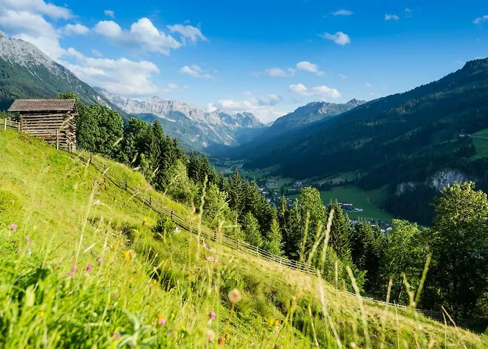 Alpehytte Prechtlgut *